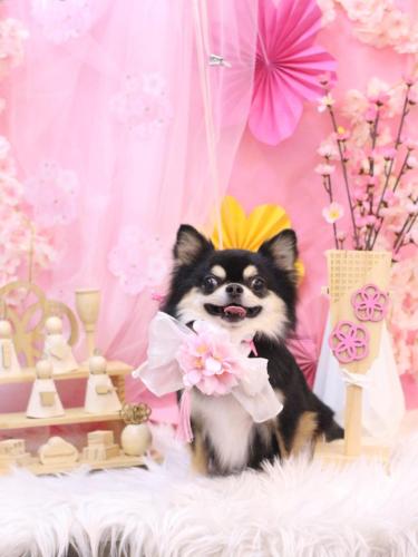 20250305ボスくん